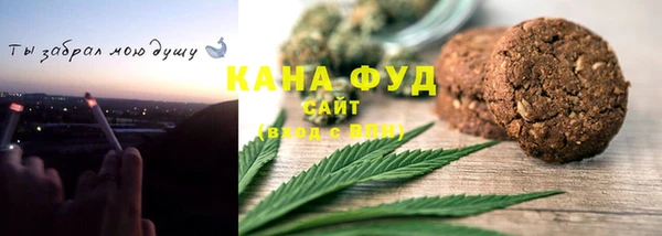 МДПВ Краснослободск
