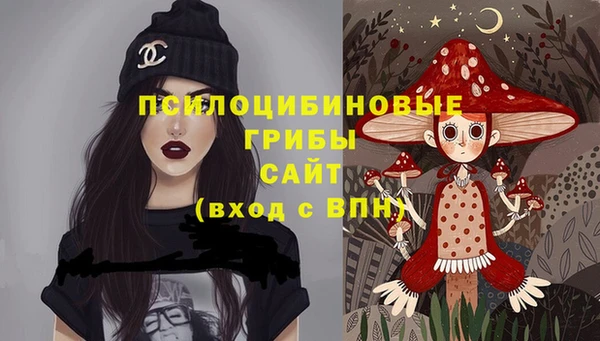 МДПВ Краснослободск