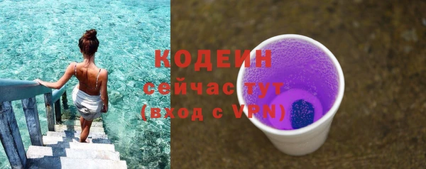 МДПВ Краснослободск