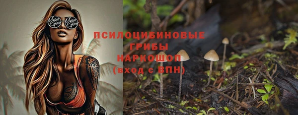 МДПВ Краснослободск